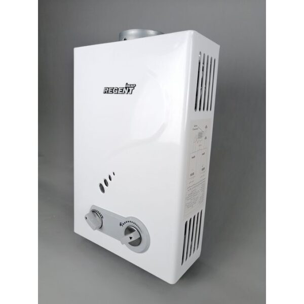 REGENT IDEAL CHAUFFE EAU A GAZ 10L